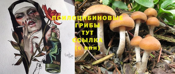 прущие крисы Михайловка